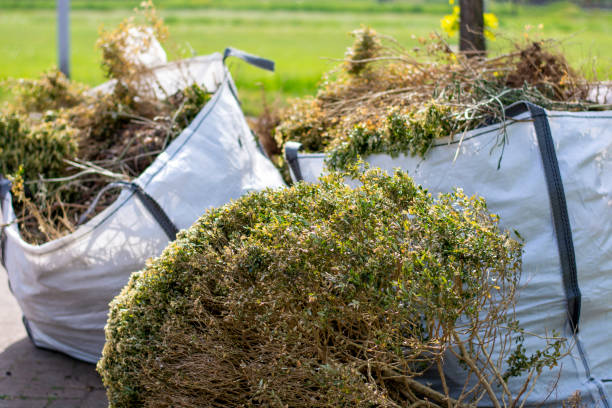 Yard Cleanup Services in Owings Mills, MD